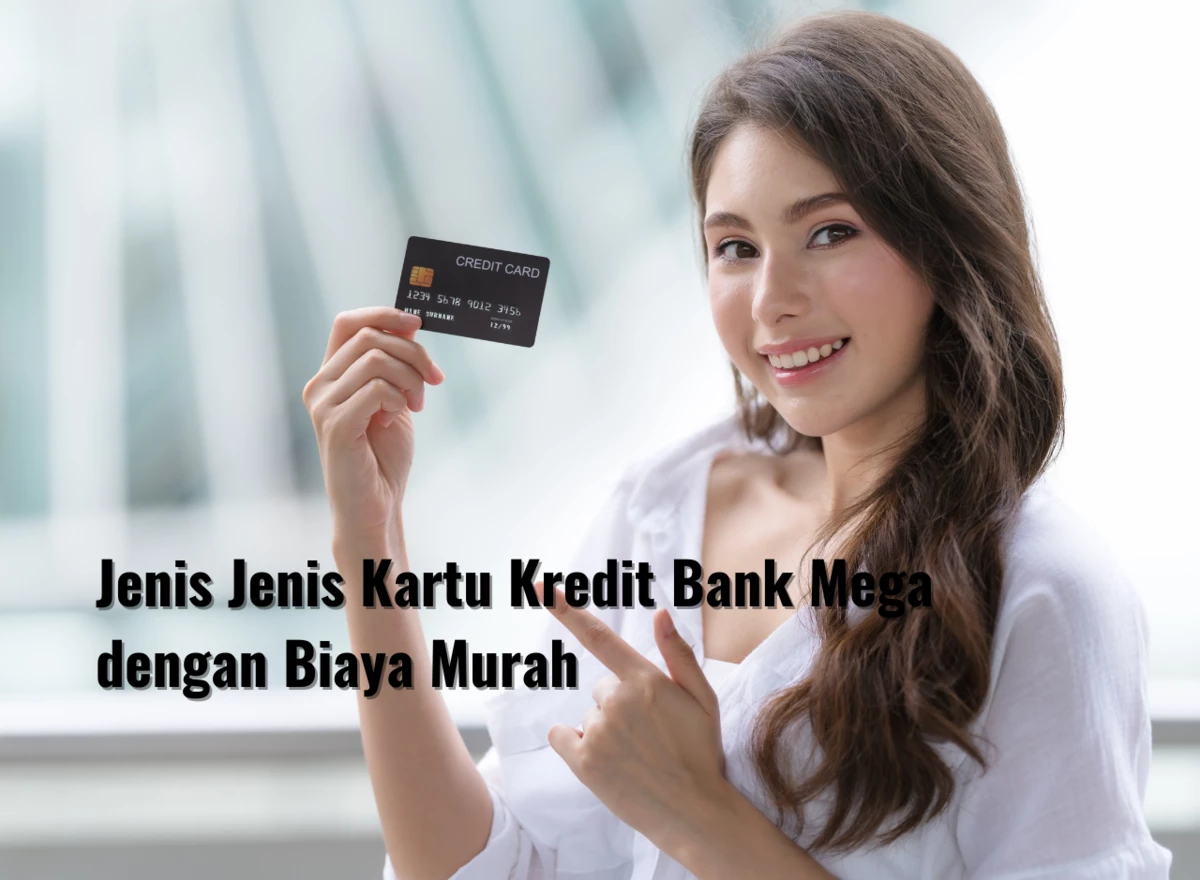 Jenis Jenis Kartu Kredit Bank Mega