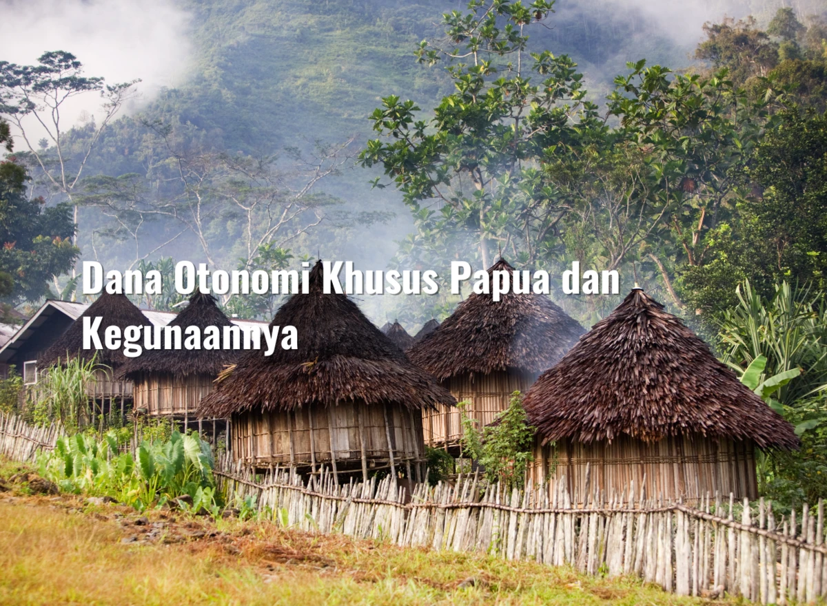 Dana Otonomi Khusus Papua dan Kegunaannya